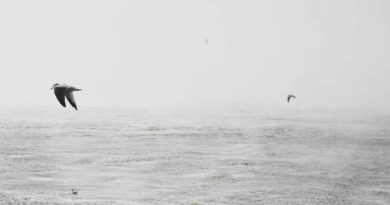 Minimalizm życiowy – mniej rzeczy, więcej przestrzeni