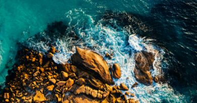 Baltona – niezawodna firma od wyposażenia technicznego statków.