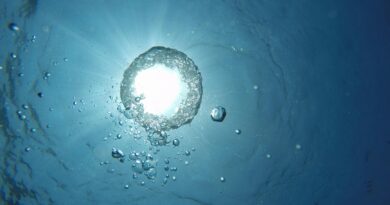 Woda mineralna na Śląsku? Imperium Alkoholi zaopatrzy każdego!